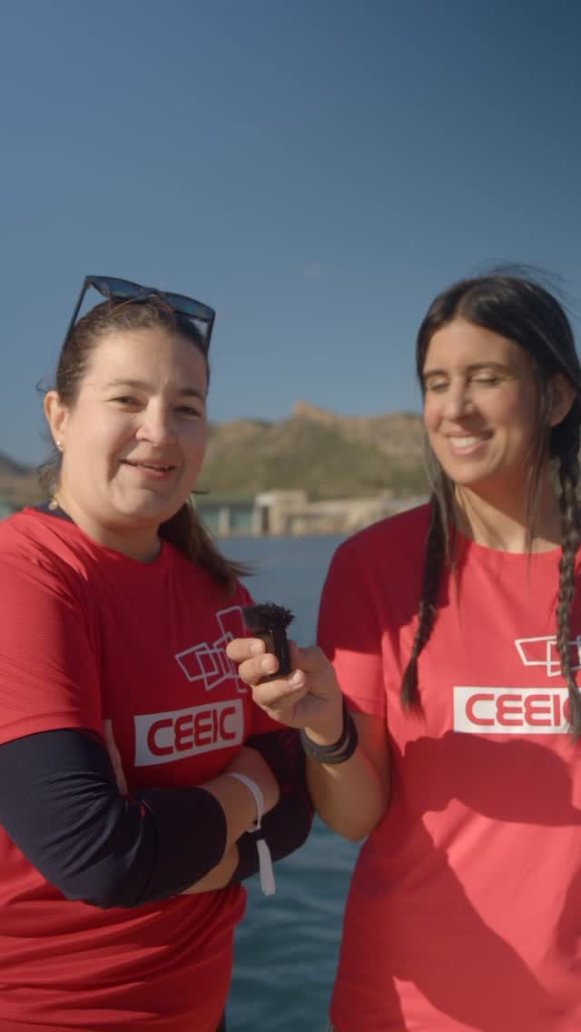 Instagram post from encostacalida. This post is in position 1.